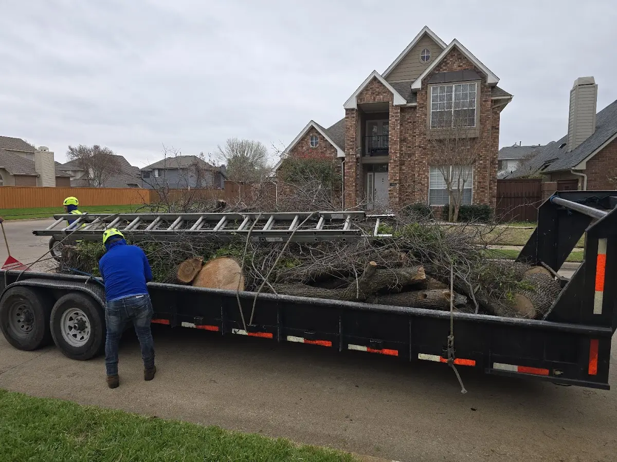 Expert Tree Fertilization with proper safety equipment in Berlin